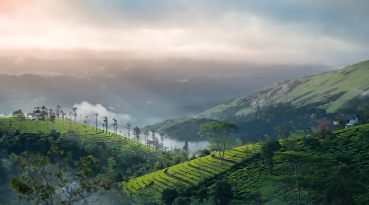 Tripura